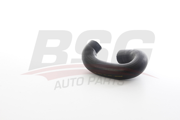 TURBO HORTUMU