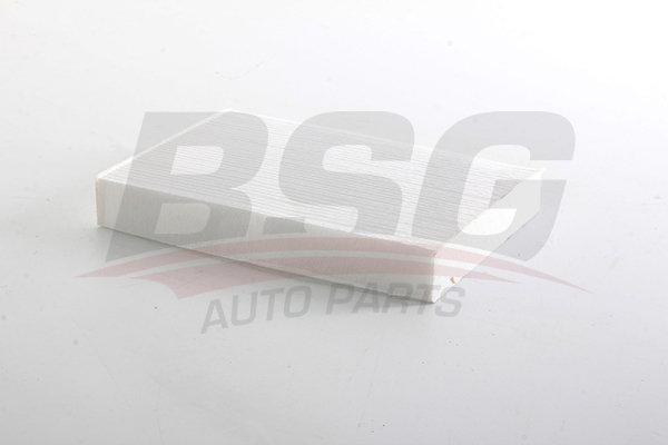 POLEN FILTRESI